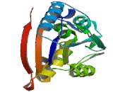 6-Phosphofructo-2-Kinase/Fructose-2,6-Biphosphatase 2 (PFKFB2)