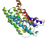 7-Dehydrocholesterol Reductase (DHCR7)