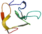 A Disintegrin And Metalloprotease 15 (ADAM15)