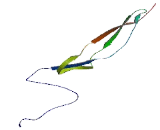 A Disintegrin And Metalloproteinase With Thrombospondin 14 (ADAMTS14)