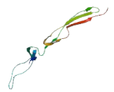 A Disintegrin And Metalloproteinase With Thrombospondin 4 (ADAMTS4)