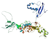 A Kinase Anchor Protein 3 (AKAP3)