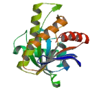 ADP Ribosylglutamate hydrolase (AF1521)