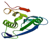 Abhydrolase Domain Containing Protein 1 (ABHD1)