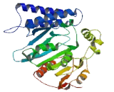 Abhydrolase Domain Containing Protein 13 (ABHD13)
