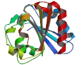 Abhydrolase Domain Containing Protein 14A (ABHD14A)