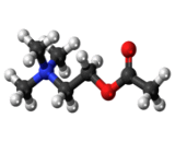 Acetylcholine (ACH)