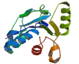 Acid Phosphatase 1 (ACP1)