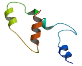 Actin Related Protein 5 (ACTR5)