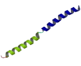 Activating Transcription Factor 1 (ATF1)