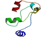 Acyl Coenzyme A Synthetase Long Chain Family, Member 3 (ACSL3)