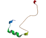 Acyl Coenzyme A Synthetase Long Chain Family, Member 4 (ACSL4)