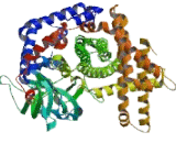 Acyl Coenzyme A Oxidase 2, Branched (ACOX2)