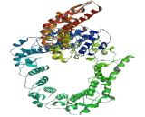 Adaptor Related Protein Complex 2 Alpha 1 (AP2a1)