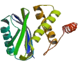 Adaptor Related Protein Complex 2 Sigma 1 (AP2s1)