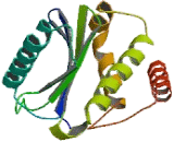 Adaptor Related Protein Complex 3 Sigma 1 (AP3s1)