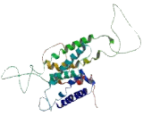 Adrenergic Receptor Beta 3 (ADRb3)