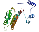 Alanine Aminotransferase 2 (ALT2)