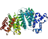 Albumin (ALB)