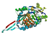 Aldehyde Dehydrogenase 7 Family, Member A1 (ALDH7A1)