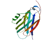 Alpha-2-Macroglobulin (a2M)