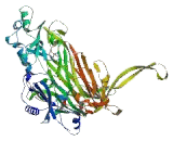 Amine Oxidase, Copper Containing 3 (AOC3)