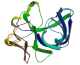 Aminoacyl tRNA Synthetase Complex Interacting Multifunctional Protein 1 (AIMP1)