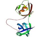 Amyloid Beta Precursor Protein Binding Protein A1 (APBA1)