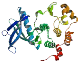 Anaplastic Lymphoma Kinase (ALK)