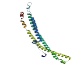 Angiomotin Like Protein 2 (AMOTL2)