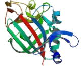 Angiopoietin 1 (ANGPT1)