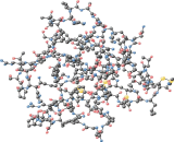 Angiostatin (ANG)