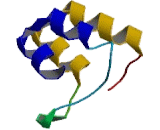 Ankyrin Repeat And BTB/POZ Domain Containing Protein 1 (ABTB1)