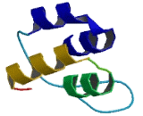 Ankyrin Repeat And Fibronectin Type III Domain Containing Protein 1 (ANKFN1)