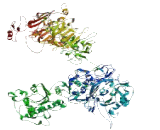 Ankyrin Repeat And KH Domain Containing Protein 1 (ANKHD1)