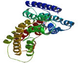 Ankyrin Repeat And LEM Domain Containing Protein 2 (ANKLE2)