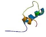 Ankyrin Repeat And SOCS Box Containing Protein 14 (ASB14)