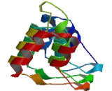 Ankyrin Repeat And SOCS Box Containing Protein 16 (ASB16)