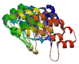 Ankyrin Repeat And SOCS Box Containing Protein 3 (ASB3)