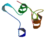 Ankyrin Repeat And SOCS Box Containing Protein 6 (ASB6)