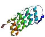 Ankyrin Repeat And Sterile Alpha Motif Domain Containing Protein 4B (ANKS4B)