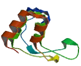 Ankyrin Repeat And Zinc Finger Domain Containing Protein 1 (ANKZF1)