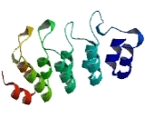 Ankyrin Repeat Domain Protein 10 (ANKRD10)
