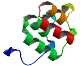 Ankyrin Repeat Domain Protein 13B (ANKRD13B)