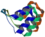 Ankyrin Repeat Domain Protein 17 (ANKRD17)