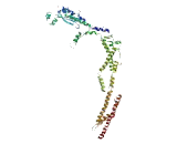 Ankyrin Repeat Domain Protein 18A (ANKRD18A)