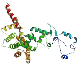 Ankyrin Repeat Domain Protein 20A (ANKRD20A)