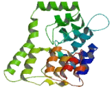 Ankyrin Repeat Domain Protein 34C (ANKRD34C)