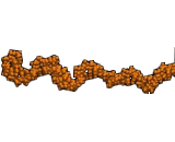 Anti-Single Stranded DNA Antibody (Anti-ssDNA)