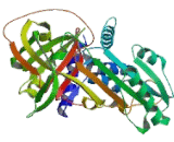 Antitrypsin Related Protein (ATR)